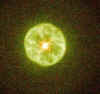 NebuleusePlanInCamelopardalisHST.jpg (36237 octets)