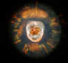 hst_eskimo_ngc2392_0007.jpg (41192 octets)
