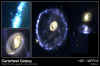 05_1995-49-c-web_print.jpg (63008 octets)