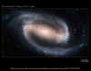 11_p0501aa.jpg (68127 octets)